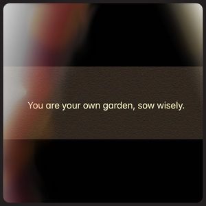 Inspirational Quotes